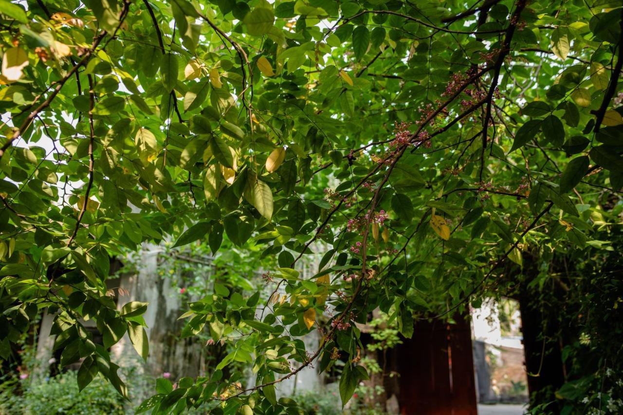 Polygon Art And Homestay Hanoi Luaran gambar
